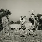 וילה Anemomilos *