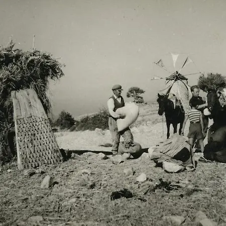 빌라 Anemomilos *